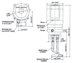 Motor driven continuous gear pump Dimensional drawing
