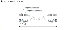 Dual hose assembly