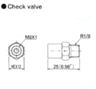 Check valve