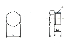 closure plugs/Blanking plug